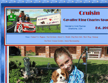 Tablet Screenshot of cruisinc1.ipower.com